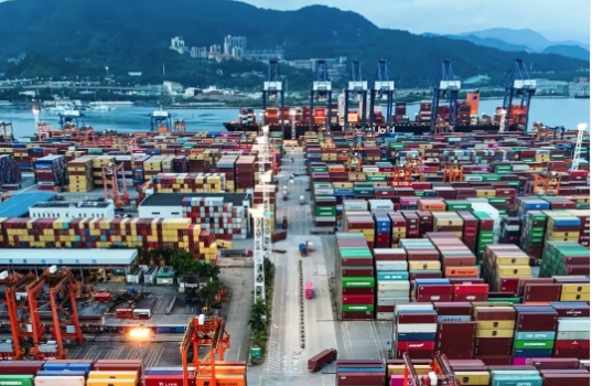 The Impact of UAE's Policies on China's PVC Exports