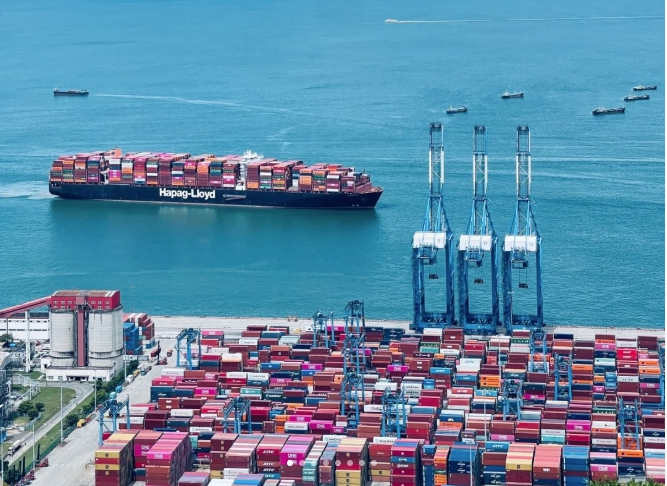 The Impact of Bangladesh's Policies on China's PVC Exports